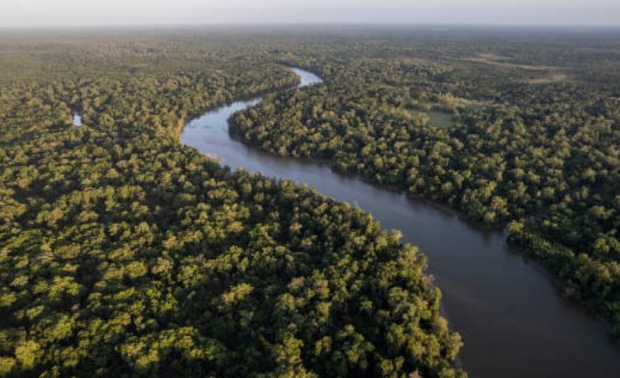 Hoja de ruta para garantizar conectividad en el Amazonas, Colombia 2024.
