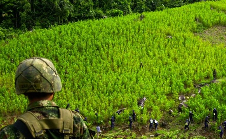 Así opera política Anti drogas Colombia-Estados Unidos 2024