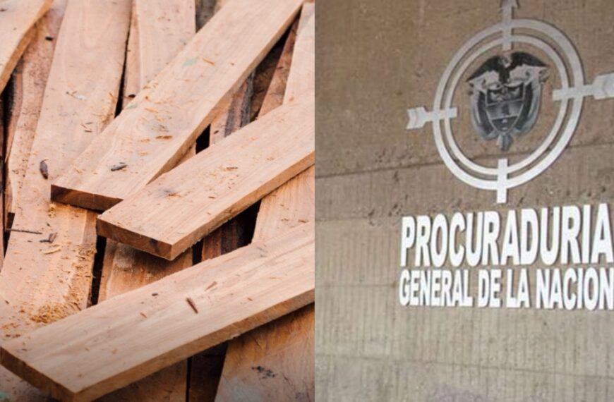 Procuraduría pide a las CAR informe sobre norma ambiental para exportar madera en Colombia