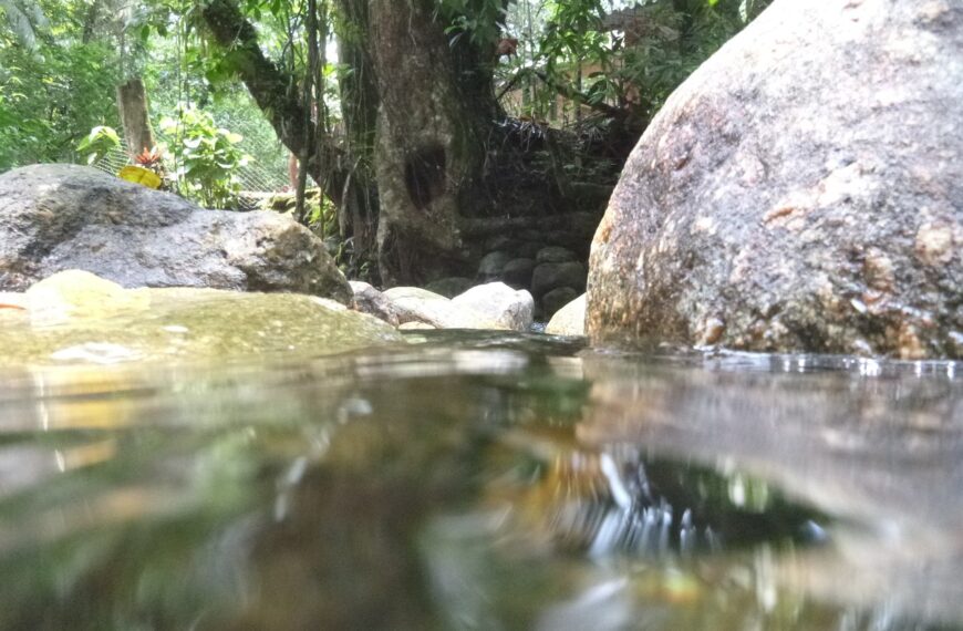 river, agua, nature-74486.jpg