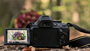 slr camera, bunch of flowers, forest-3752493.jpg