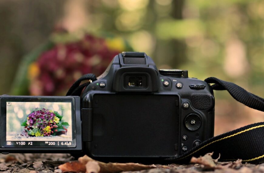 slr camera, bunch of flowers, forest-3752493.jpg