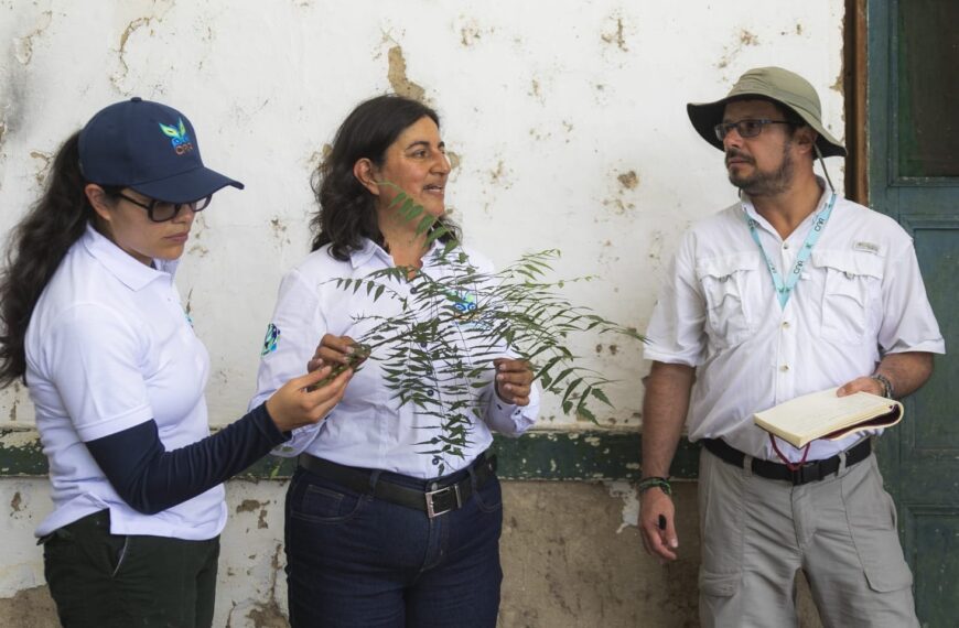 Cilindro para sembrar vegetales. Adiós a las bolsas proclama CAR.