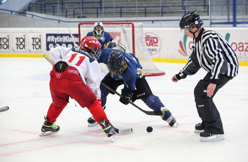 hockey, slavia, skater-2744907.jpg