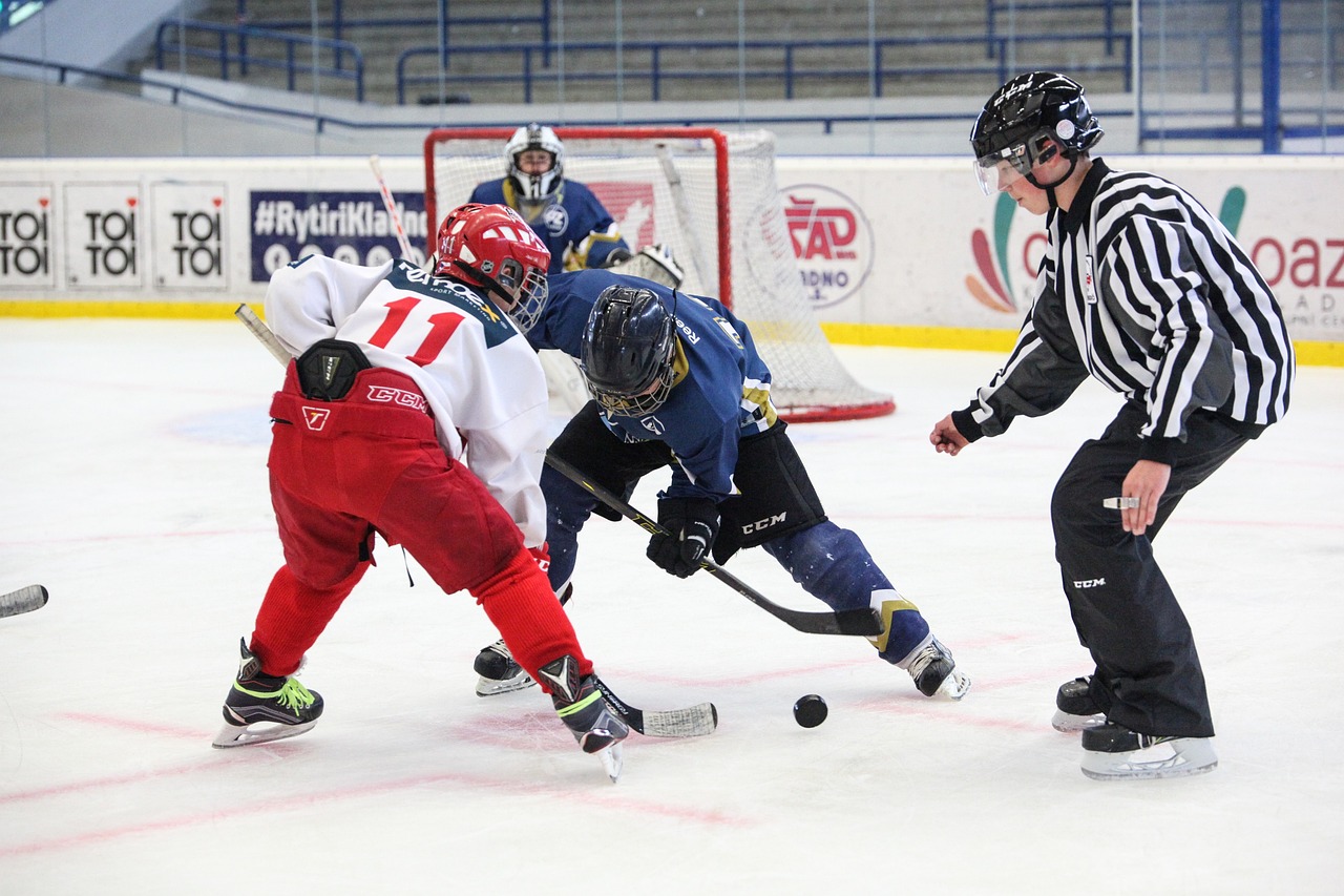 hockey, slavia, skater-2744907.jpg