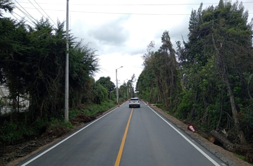 Recuperación vial en Cundinamarca: dónde se ubican los 250 kilómetros bajo lupa.