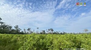 WhatsApp Image 2024-08-26 at 22.43.46