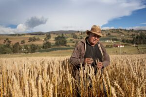 d79b7e5c-21f7-4b67-b4b4-7715e52a21ff