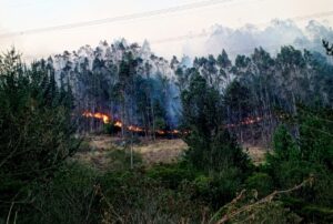 WhatsApp Image 2024-09-19 at 17.27.10 (2)