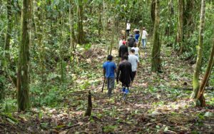 ceabcc89-9494-4ed8-9c04-a992dd187d0f