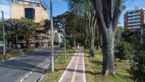 Fotos intervención Teusaquillo 5