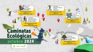 WhatsApp Image 2024-10-09 at 16.26.05 (1)