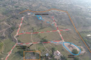 WhatsApp Image 2024-10-14 at 19.46.19