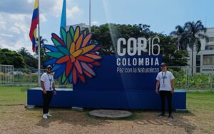 WhatsApp Image 2024-10-24 at 20.24.47 (1)