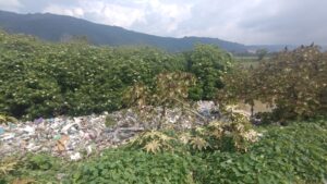 1a60519c-cf21-4d82-b3a5-cdc95f1a5900