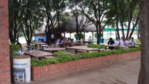 Los Almendros 4