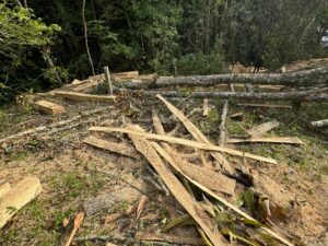 e995643d-16c8-4635-aa58-16b79673ded3