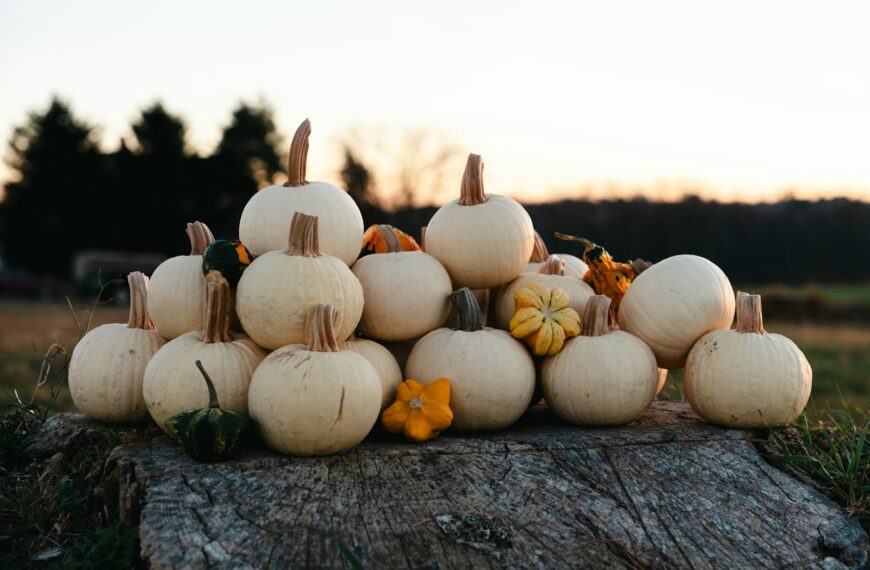 A pile of pumpkins sitting on top of a tree stump