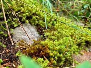 WhatsApp Image 2024-12-02 at 07.34.18