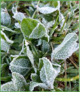 WhatsApp Image 2025-01-23 at 17.10.39