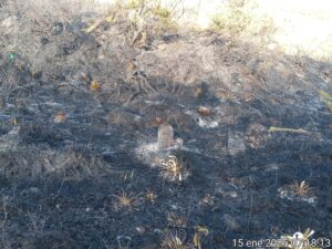 incendio chingaza