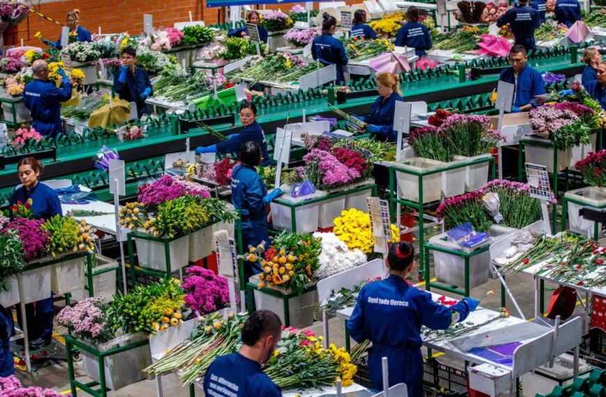 Flores colombianas 2025 con aires de esperanza.