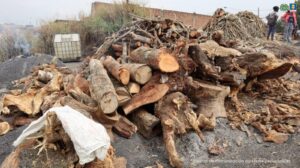 WhatsApp Image 2025-02-23 at 18.36.08