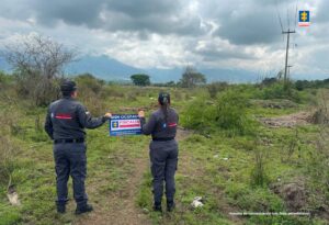 WhatsApp Image 2025-03-10 at 13.36.59 (2)