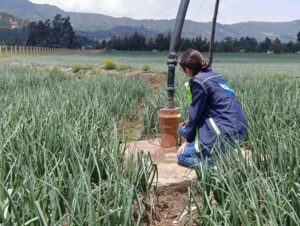 WhatsApp Image 2025-03-29 at 08.48.47