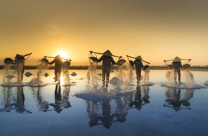 salt harvesting, vietnam, water, salt, work, people, reflection, hon khoi, salt field, salina, tropical, agriculture, asia, harvest, asian, hats, traditional, nature, vietnam, vietnam, vietnam, vietnam, salt, work, work, work, work, work, people, people, agriculture