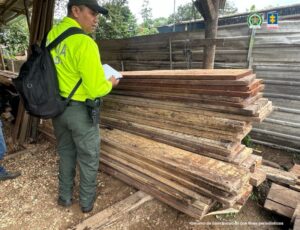 WhatsApp Image 2025-04-13 at 17.40.55 (2)