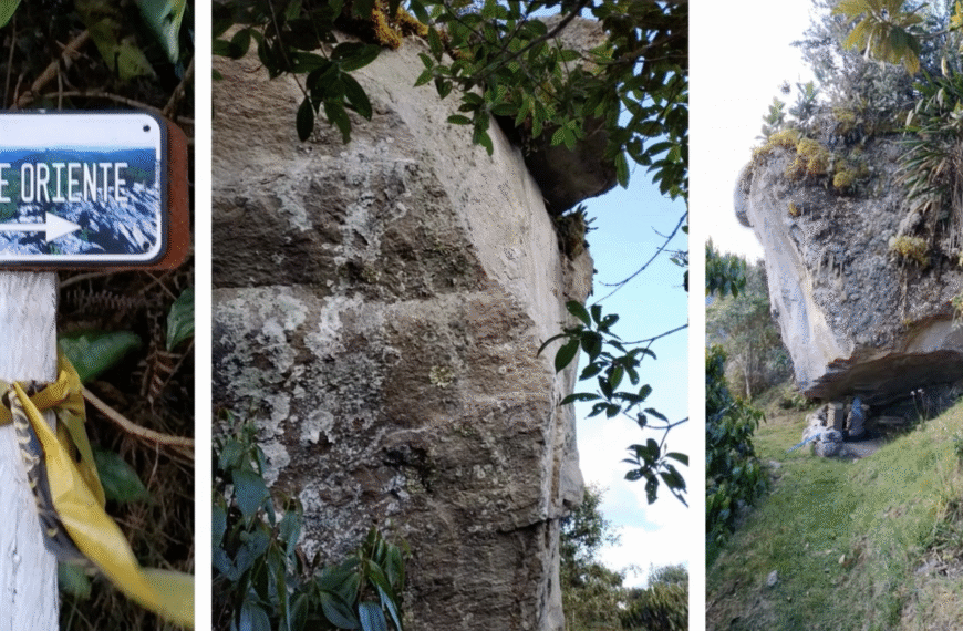 Arboleda Andina. Regala un árbol, regala vida.