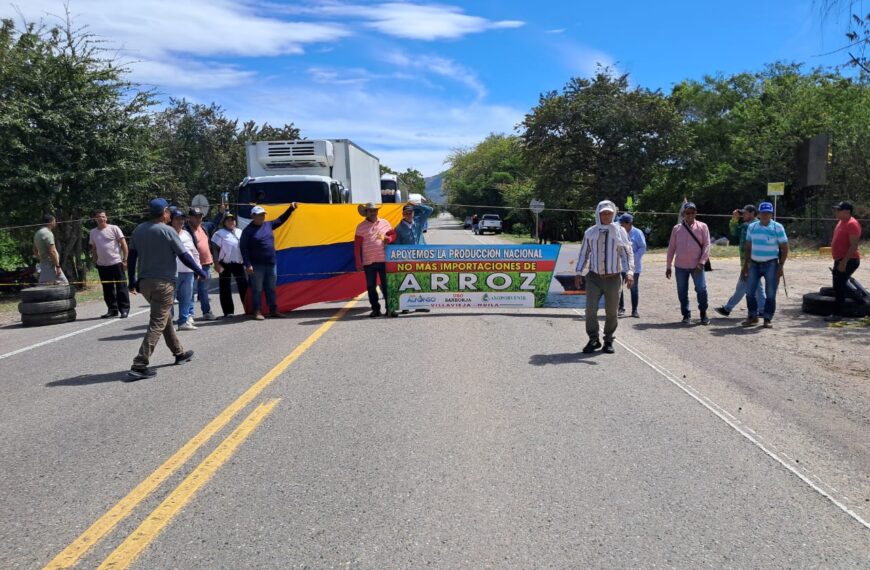 Así va «negociación efectiva» arroceros Colombia 2025 con gobierno.