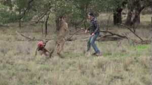 hombre peleando con perro