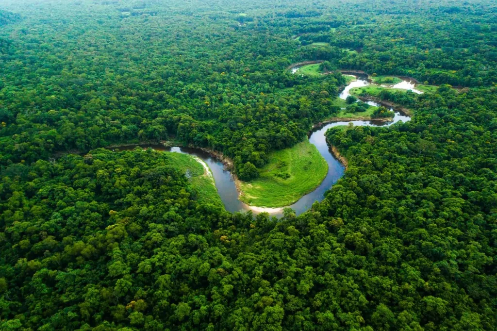Amazonia