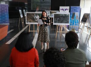 Caminos de búsqueda (10)