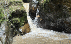 Convocatoria colectivos para seguridad hídrica. CAR septiembre 2025. Únete.