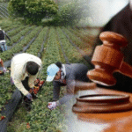 Colombia en firme con jurisdicción agraria. Su significado
