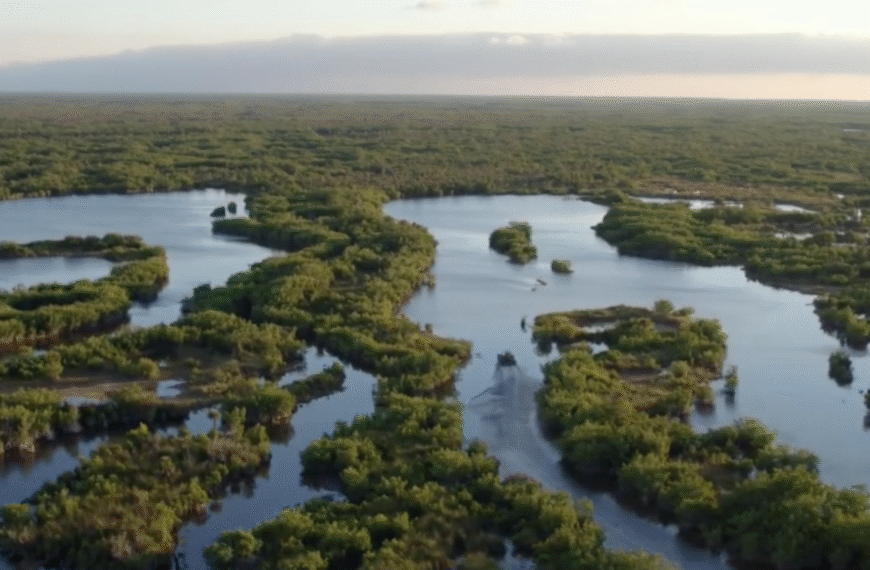 Oda a Miami de Luis Carlos Fallon Borda interpretada por Deyanira Rodríguez Barguil.