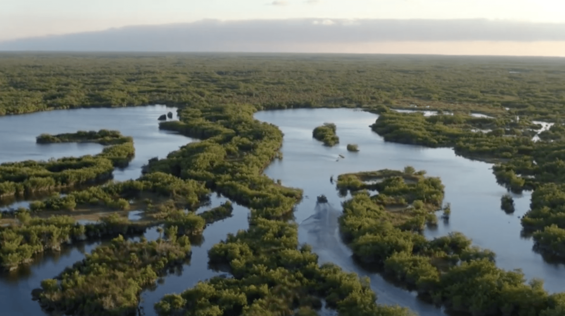 Oda a Miami de Luis Carlos Fallon Borda interpretada por Deyanira Rodr&iacute;guez Barguil.