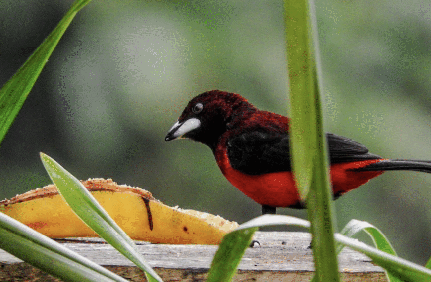 October Big Day 2025. Te gustan los resultados?