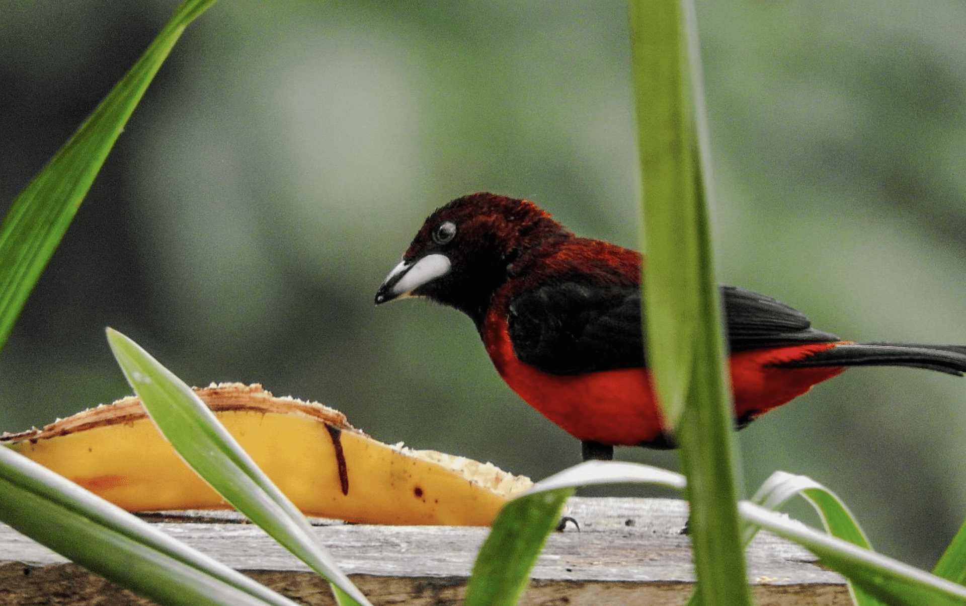 October Big Day 2025. Te gustan los resultados?