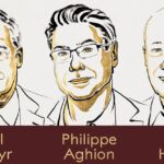 Más allá de la destrucción creativa: reflexiones sobre el Nobel 2025