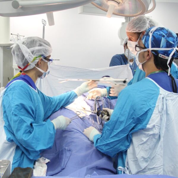 Ser donante de &oacute;rganos: un compromiso que trasciende en la vida