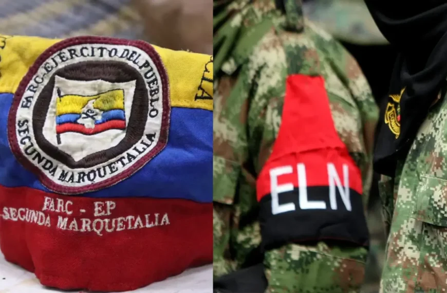 Confrontación entre grupo armado Segunda Marquetalia y ELN: crisis humanitaria en Vichada, noviembre 2025.