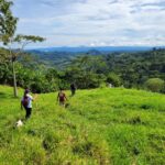 Víctimas desaparición forzada Farc-EP, noviembre 2025. JEP Colombia.