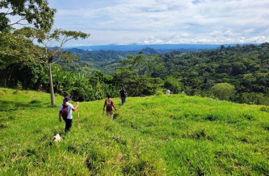 Víctimas desaparición forzada Farc-EP, noviembre 2025. JEP Colombia.
