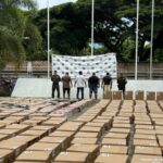 Marihuana oculta en camiones. Así cae en noviembre 2025.