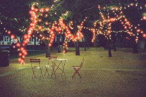 Trees decorated with red lights at night