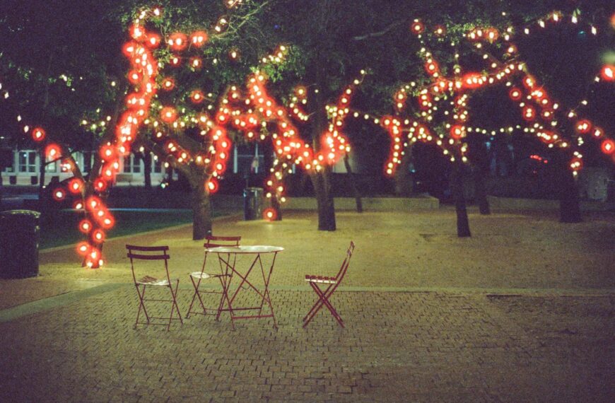Trees decorated with red lights at night